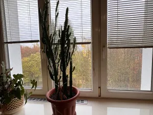 Prodej bytu 2+1, Karlovy Vary, Maďarská, 61 m2