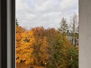 Prodej bytu 3+1, Karlovy Vary, Maďarská, 61 m2