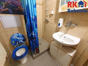 Pronájem bytu 1+1, Mladá Boleslav, Čechova, 30 m2