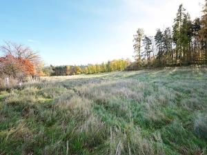 Prodej pozemku pro bydlení, Daleké Dušníky, 1217 m2