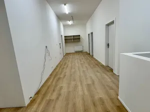 Pronájem ubytování, Brno, Štefánikova, 300 m2