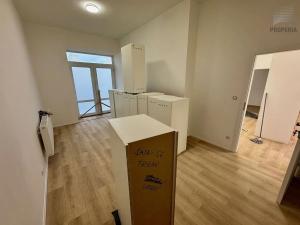 Pronájem ubytování, Brno, Štefánikova, 300 m2