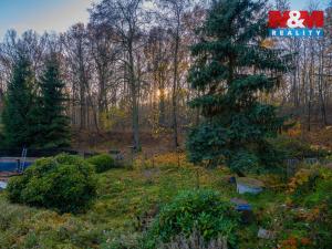 Prodej chaty, Velké Chvojno - Žďár, 45 m2