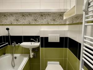 Prodej bytu 1+1, Ostrava - Zábřeh, Čujkovova, 29 m2