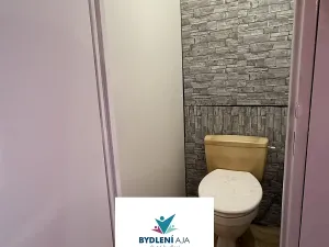 Pronájem bytu 1+kk, Teplice, Přítkovská, 32 m2