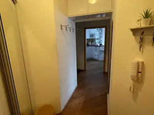 Prodej bytu 2+kk, Brno, Jánošíkova, 49 m2