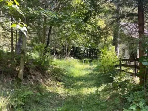 Prodej lesa, Nýdek, 16920 m2