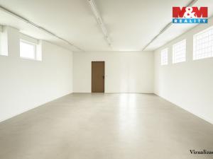 Prodej rodinného domu, Písek - Budějovické Předměstí, Tyršova, 315 m2