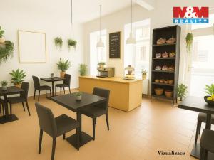 Prodej rodinného domu, Písek - Budějovické Předměstí, Tyršova, 315 m2