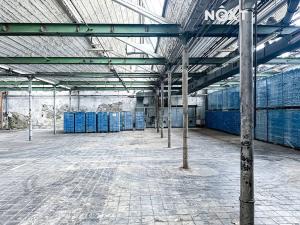 Pronájem skladu, Dětřichov, 6890 m2