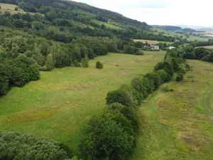 Dražba louky, Dešenice, 67850 m2
