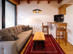 Pronájem bytu 1+kk, Brno, Kamenná, 35 m2