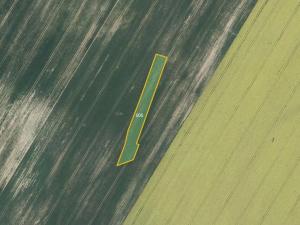 Prodej pole, Vyklantice, 7316 m2