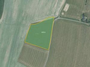 Prodej louky, Nové Lublice, 16501 m2