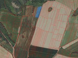 Prodej pole, Radošovice, 6988 m2