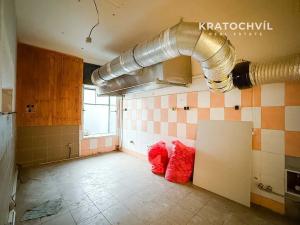 Pronájem obchodního prostoru, Kolín, Zámecká, 44 m2