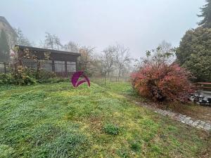 Pronájem rodinného domu, Charváty, 250 m2