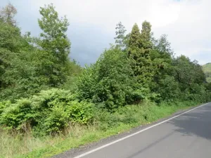 Dražba zahrady, Šemnice, 472 m2