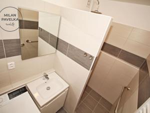 Pronájem bytu 3+1, Brno - Staré Brno, Veletržní, 61 m2