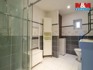 Prodej chalupy, Bžany - Lhenice, 216 m2