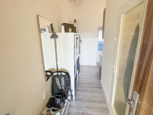 Pronájem bytu 1+kk, Brno, Plotní, 32 m2