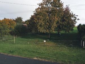 Prodej pozemku, Vinary - Kozojídky, 1213 m2