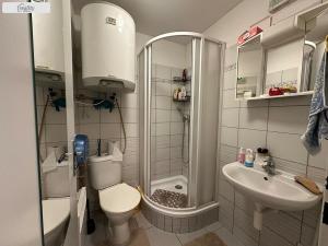 Prodej bytu 1+kk, Brno - Černovice, Olomoucká, 20 m2