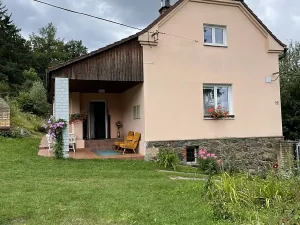 Prodej chalupy, Plasy, 174 m2