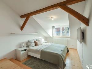 Pronájem bytu 3+kk, Olomouc, Komenského, 114 m2