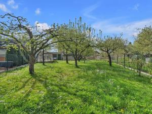 Prodej rodinného domu, Lanškroun, Slovenská, 260 m2