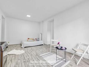 Prodej bytu 2+kk, Ostrava, Alšovo náměstí, 51 m2