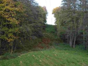 Prodej pozemku, Hrádek nad Nisou - Dolní Sedlo, 543 m2