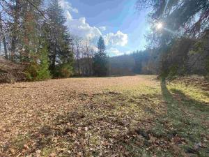 Prodej pozemku, Bartošovice v Orlických horách, 2009 m2