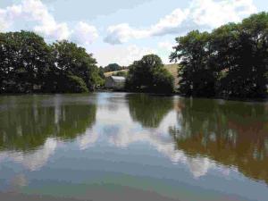 Prodej pozemku, Chocomyšl, 59407 m2