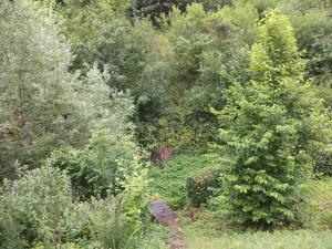 Prodej pozemku, Liberk, 2268 m2