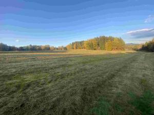 Prodej pole, Cvikov - Trávník, 16894 m2