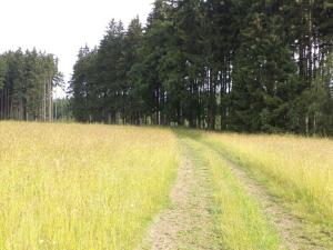 Prodej pozemku, Horní Štěpánov, 4031 m2