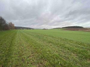 Prodej pole, Oráčov, 19275 m2