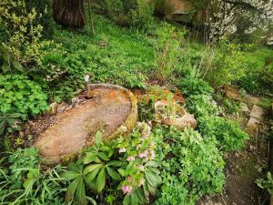 Prodej chaty, Děčín, 16 m2