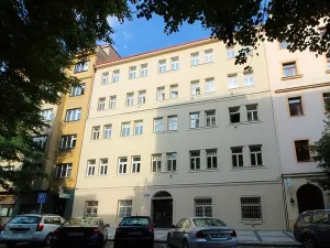 Pronájem bytu 1+1, Praha - Karlín, Vítkova, 43 m2