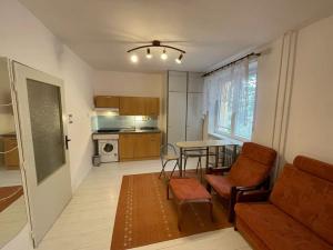 Pronájem bytu 1+kk, Kopřivnice, Družební, 25 m2