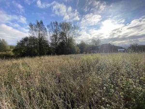 Prodej pozemku, Králíky - Horní Lipka, 3207 m2