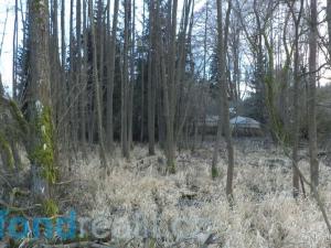 Prodej pozemku, Kočov, 8532 m2