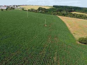 Prodej pozemku, Dobrkovice, 30944 m2