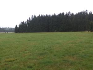 Prodej pozemku, Nová Bystřice, 2593 m2