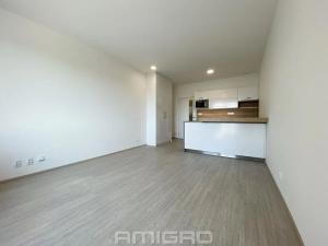 Pronájem bytu 1+kk, Brno, Reissigova, 32 m2