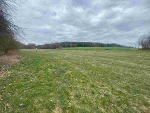 Prodej pole, Žinkovy, 15275 m2