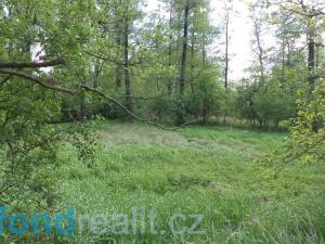Prodej pozemku, Dětmarovice - Koukolná, 1844 m2