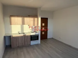 Pronájem bytu 1+kk, Tanvald, U Školky, 30 m2