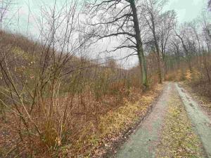 Prodej pole, Ždánice, 3207 m2